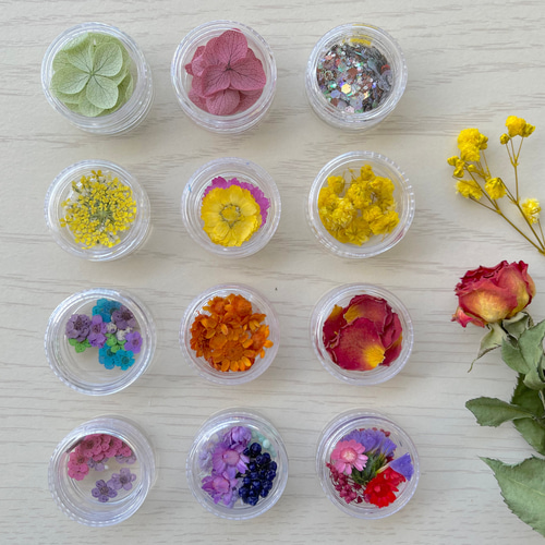 送料無料になりました！ お花いっぱい！ドライフラワー押し花 花