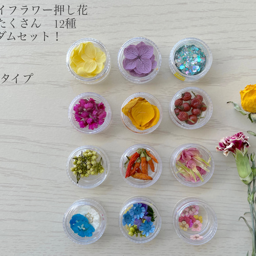 送料無料になりました！ お花いっぱい！ドライフラワー押し花 花