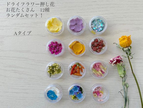 レジン 封入 パーツ 花 ドライフラワー 押し花 アクセサリー