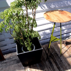 ＊st様 専用ページ＊ Tripod table - Walnut woodtop　壁付け用・天板カット 4枚目の画像