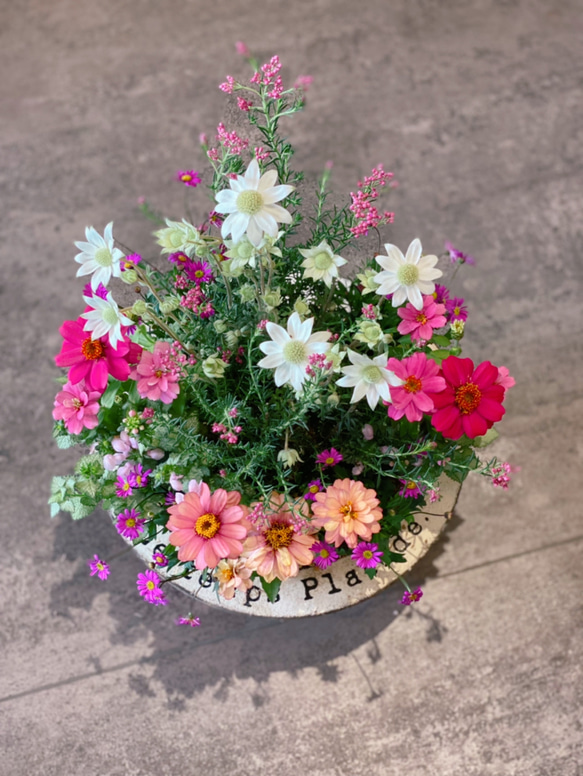 母の日におすすめ♡寄せ植え その他インテリア雑貨 Lotti 通販