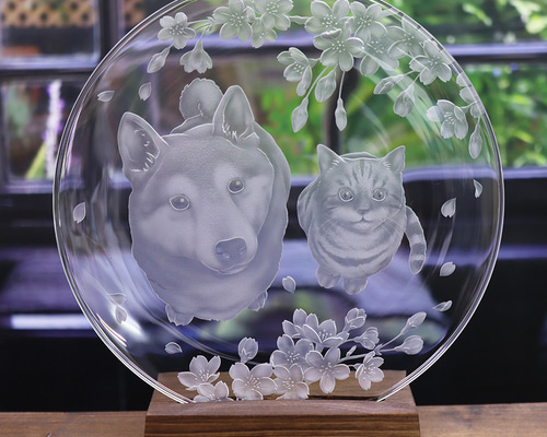 猫柴様おまとめ4点 92f8d8af5910db48f555a9efd93e1f