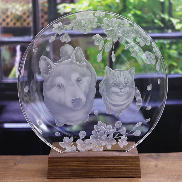 柴犬と猫の仲良しお花見　ガラスの大皿 1枚目の画像