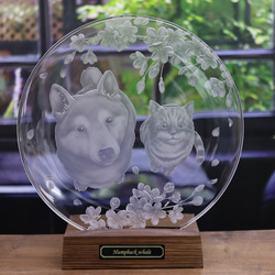 柴犬と猫の仲良しお花見　ガラスの大皿 7枚目の画像