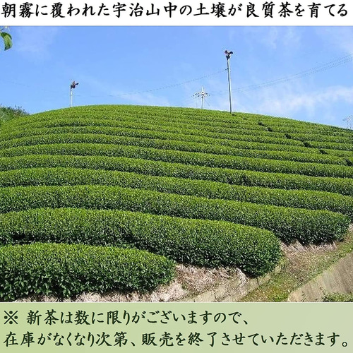 luluた‼︎【農家直売】宇治茶 2024年新茶 2種セット - 茶