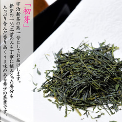 2023年 宇治新茶 新茶 80g 煎茶 茶鑑定士厳選 お茶 一番茶 家飲み 茶葉  「初芽」 京都 手土産 きよ泉 2枚目の画像