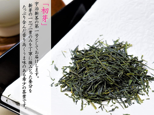 2023年 宇治新茶 新茶 80g 煎茶 茶鑑定士厳選 お茶 一番茶 家飲み 茶葉  「初芽」 京都 手土産 きよ泉 2枚目の画像