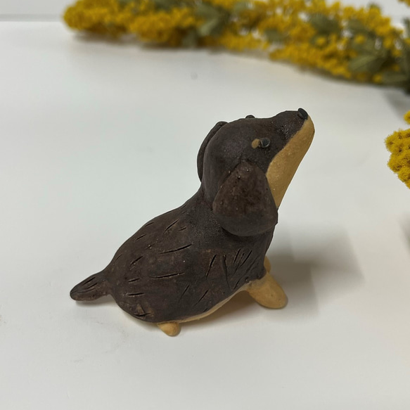 臘腸犬 4 ceramic /dog/dog 第8張的照片