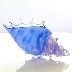 受注製作：貝殻のガラスの入れ物、青い海の「シェルの器」 6枚目の画像