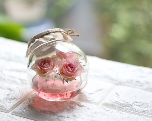 d69ca77e350748d37a4bc859a333d4