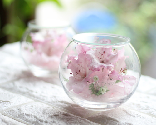 a9457cec401f577c3a5e91e7f12acf