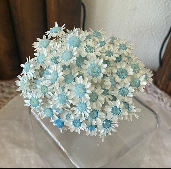 スターフラワーブロッサムアレンジ加工ホワイトコバルトブルー30輪販売❣️ハンドメイド花材カラードライフラワー 1枚目の画像