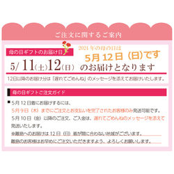 遅れてごめんね母の日ギフト選べる！ハチミツおろし生姜orハチミツおろし生姜レモン 8枚目の画像