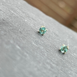 14kgf  paraibacolor Apatite　pierce 7枚目の画像