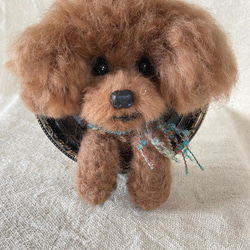 トイプードル　羊毛フェルト　ミニ額　レッド　プレゼント　愛犬 1枚目の画像