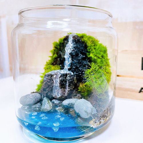 滝壷】苔テラリウム レジンアート テラリウム 苔の都