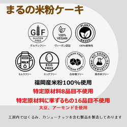 グルテンフリー　ヴィーガン米粉シフォンケーキ＆ガトーショコラお菓子セット(gift01) 7枚目の画像