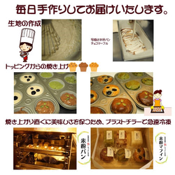 グルテンフリー　ヴィーガン米粉シフォンケーキ＆ガトーショコラお菓子セット(gift01) 18枚目の画像