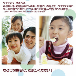 グルテンフリー　ヴィーガン米粉シフォンケーキ＆ガトーショコラお菓子セット(gift01) 19枚目の画像