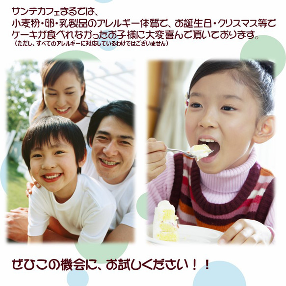 グルテンフリー　ヴィーガン米粉シフォンケーキ＆ガトーショコラお菓子セット(gift01) 19枚目の画像