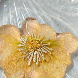 菜の花のブローチ 2枚目の画像