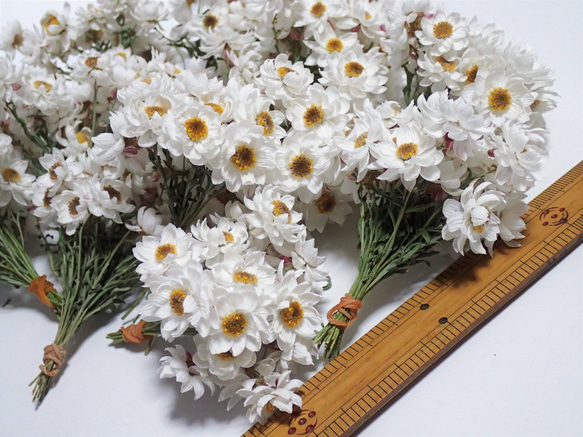 送料無料 「 花かんざし 70本 」訳あり商品のドライフラワー 自然乾燥