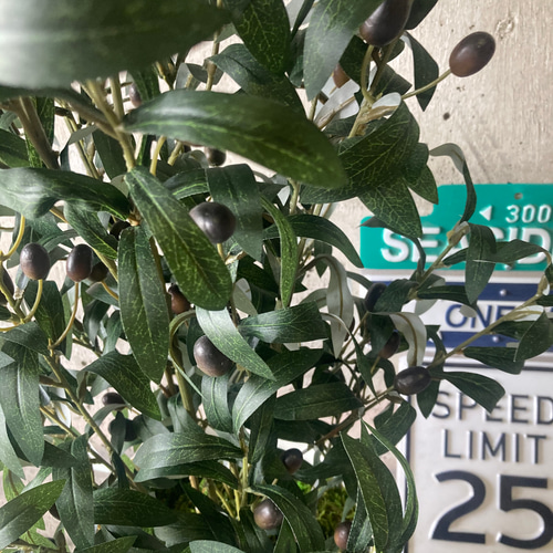 光触媒　人工観葉植物　ウォールグリーン　フェイクグリーン　オリーブ100 光触媒 人工観葉植物 ウォールグリーン フェイクグリーン