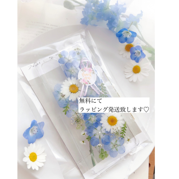 全機種対応.❁.｡.:*:.｡.✽.清らかな花びより:*:.｡.✽.｡.:. 6枚目の画像