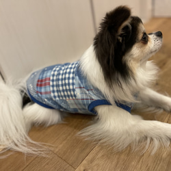 グランジデニム柄　タンクトップ　ハンドメイド犬服　ブルー系 3枚目の画像