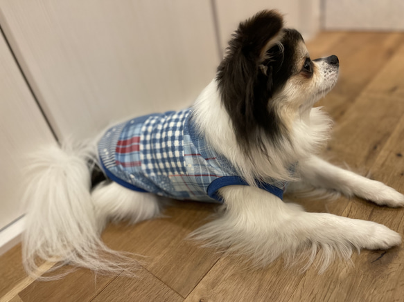 グランジデニム柄　タンクトップ　ハンドメイド犬服　ブルー系 3枚目の画像