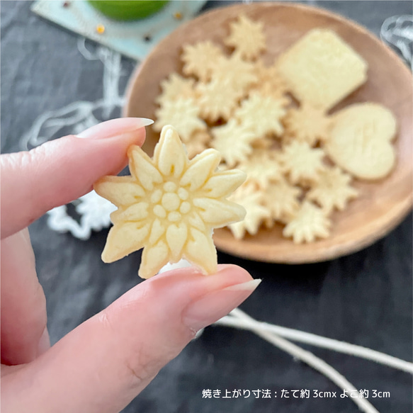 エーデルワイスのお花【小】クッキー型 2枚目の画像