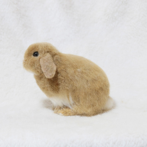 ココ☆ニンジンパンツのウサギリスちゃん　羊毛フェルト 送料無料💗仲良しうさぎさんとおやつのにんじん🥕 羊毛フェルト
