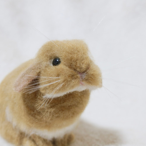 ☆ 様　うさぎ　羊毛フェルト額縁入り 様　うさぎ　羊毛フェルト額縁入り ☆
