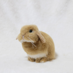 【お試し価格！】 スラッとしたリアルな野うさぎさん ニホンノウサギ 羊毛フェルト 羊毛フェルト