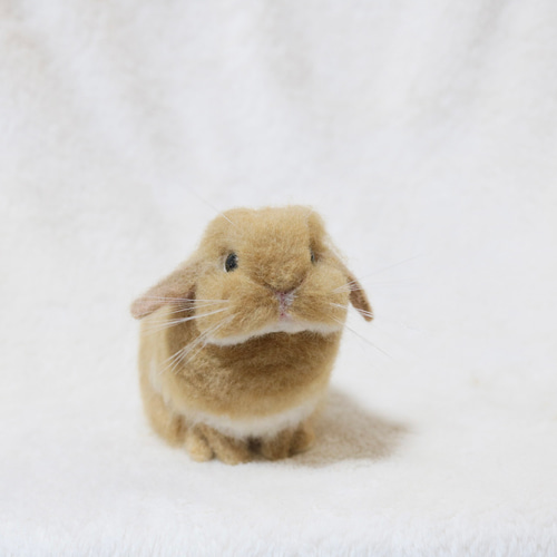うさぎ 羊毛フェルト ダッチ ライラック ハンドメイド 羊毛フェルト ハンドメイド ダッチ うさぎ ライラック