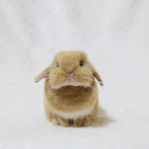 けろ様 うさぎさん 羊毛フェルトストラップ けろ様 猫うさぎ犬 羊毛フェルトストラップ