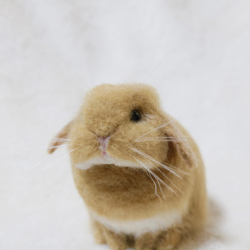 羊毛フェルト おすわりポーズの子うさぎさん ホーランドロップイヤー