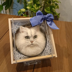 オーダー】羊毛フェルト 猫 犬 ペルシャ チンチラ ハチワレ