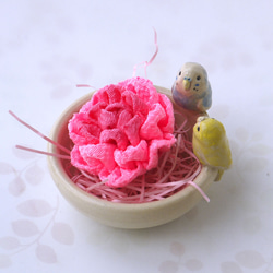 &lt;母親節禮物&gt;康乃馨和虎皮鸚鵡（陶器小包和花胸針） 第7張的照片
