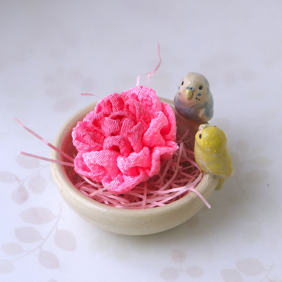 &lt;母親節禮物&gt;康乃馨和虎皮鸚鵡（陶器小包和花胸針） 第2張的照片