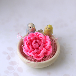 &lt;母親節禮物&gt;康乃馨和虎皮鸚鵡（陶器小包和花胸針） 第8張的照片