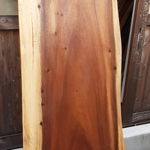 ◉一枚板・無垢モンキーポット、カウンターテーブル、事務机・脚切ローテーブルベンチ 楽天市場】一枚板 ベンチ 幅120cm モンキーポッド 一枚板テーブル 1枚