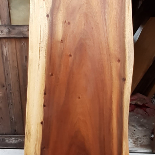 モンキーポッド 特大 一枚板 ダイニング テーブル ウォールナット 栃