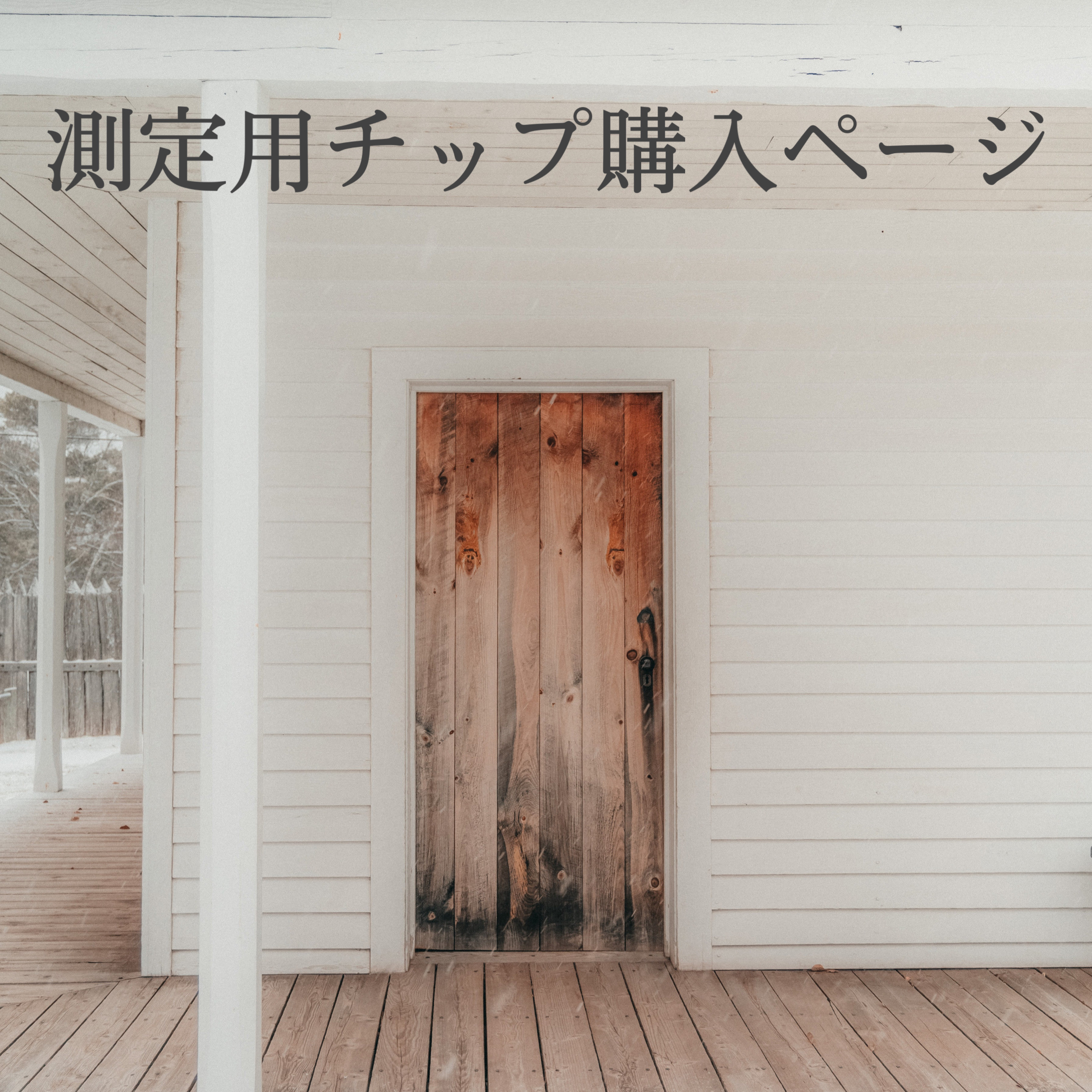 測定用ネイルチップ購入ページ ネイルチップ（つけ爪