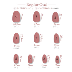 測定用ネイルチップ購入ページ 2枚目の画像