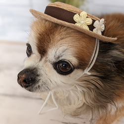 　犬・猫用ハット　超小型犬　帽子　かざり　NO.4　カンカン帽 1枚目の画像