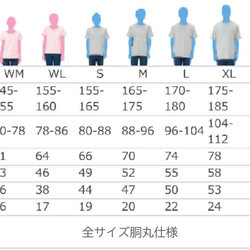  第8張的照片