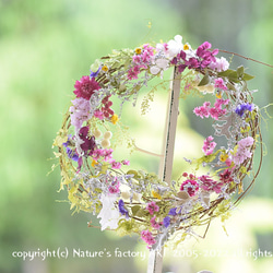 「きらめきの季節」自然素材リース 3枚目の画像