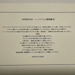 陽の光に優雅に微笑む、シルバデイジーのハーバリウム。お母様の感謝のギフトに最適です！ 7枚目の画像