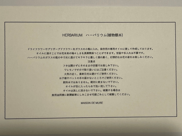 陽の光に優雅に微笑む、シルバデイジーのハーバリウム。お母様の感謝のギフトに最適です！ 7枚目の画像